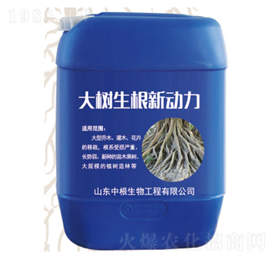 大樹生根新動力-中根生物