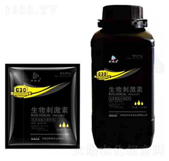 ����̼���-�u�X������