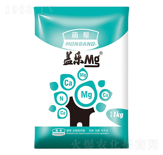 1kg�w��(l��)��-�Ȏ�