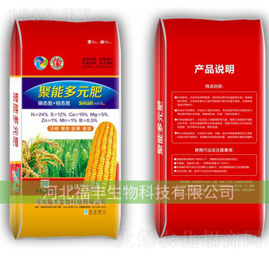 �ߵ��͏ͺϷ�-���S����