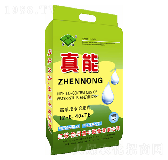 �ߝ��ˮ�ܷ�12-8-40+TE-����-���S�ʘI(y��)