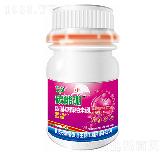 碳能硼-奧雷德斯