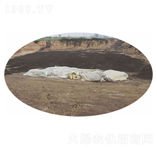 發(fā)酵大蒜專用肥-鄲農(nóng)肥業(yè)