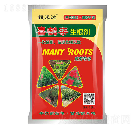 ϲ�Q��������-�y�מ�����