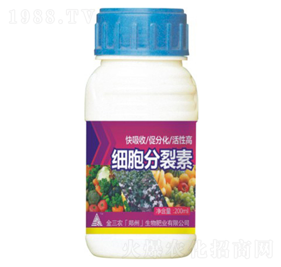 ����������-�����r