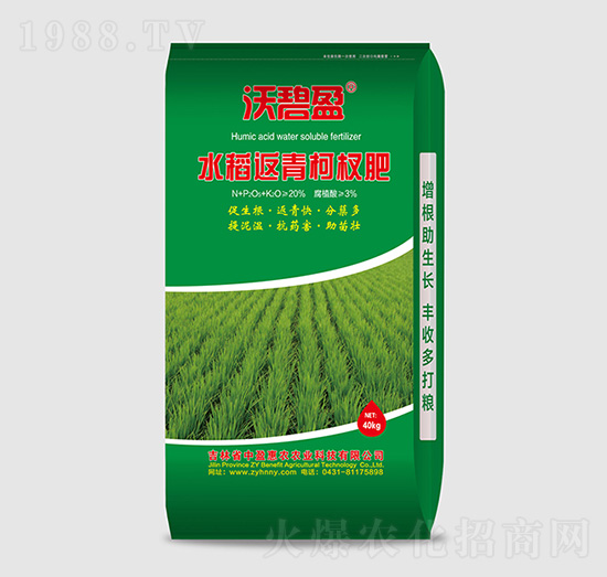 ˮ�������辷�-�ֱ�ӯ-��ӯ���r(n��ng)