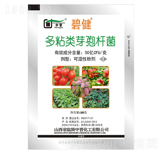 多粘類芽孢桿菌-碧健-中晉