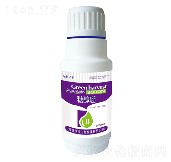 �Ǵ���-�G���Z�S-�G������