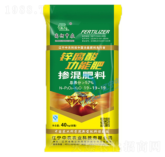 �������19-19-19-�߿����r(n��ng)