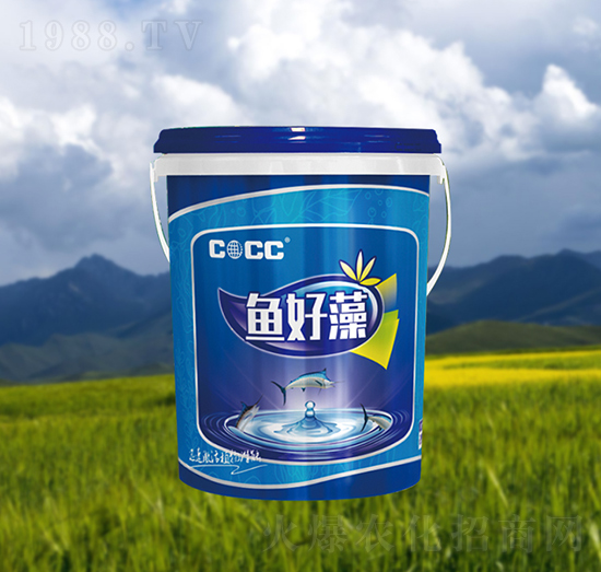 �~����-�к�����