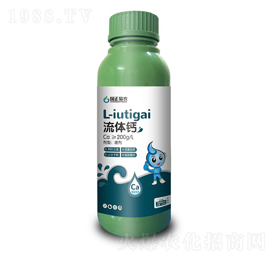 ���w�}-�������r