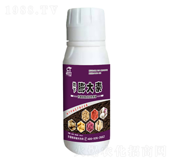 地下膨大素-初唐-睿之澤