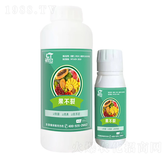 果不裂-初唐-睿之澤