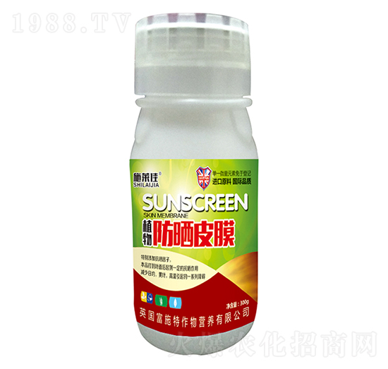 ֲ�����ƤĤ-ʩ�R��-ӯ�S�r�I(y��)