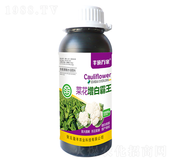 �˻����װ���-�S�T�f��-ӯ�S�r�I(y��)