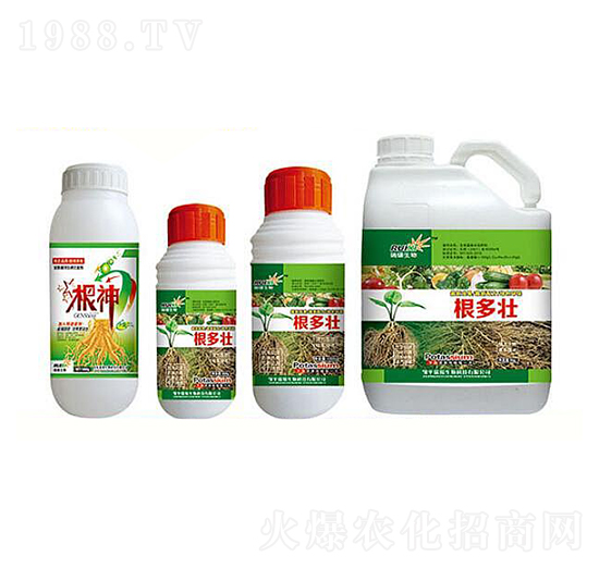 根多壯+根神-瑞錫生物