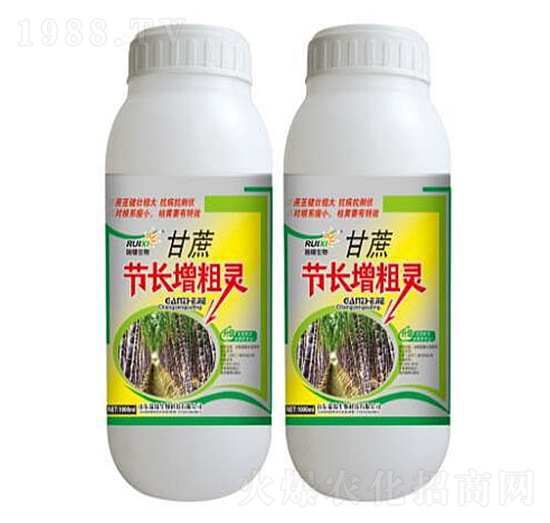 甘蔗節(jié)長增粗肥-瑞錫生物