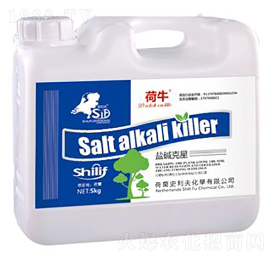 �}�A����-��ţ-ʷ����