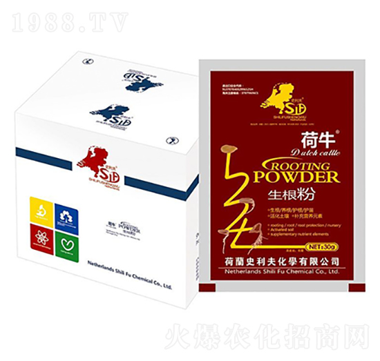 ��ţ������-ʷ����