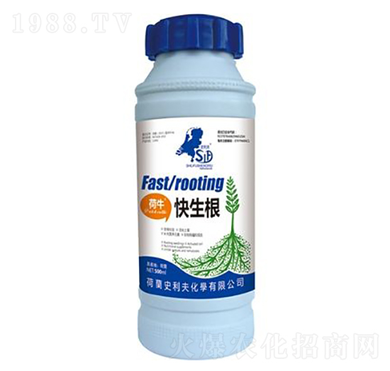 ����������-ʷ����