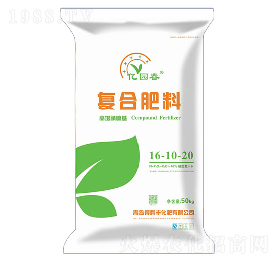 ����������ͺϷ���16-10-20-�|�@��-�����S