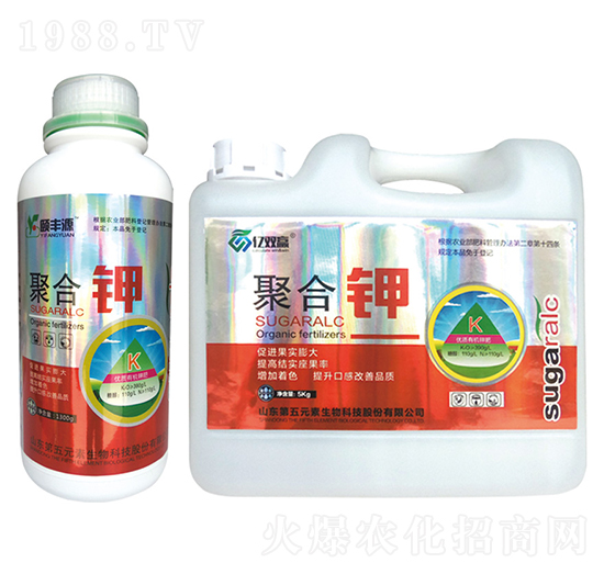 �ۺ��-�|�p�A-����Ԫ��