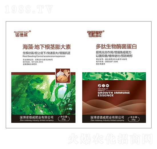 ���塤���¸��o�����+��������ø������-�Z����