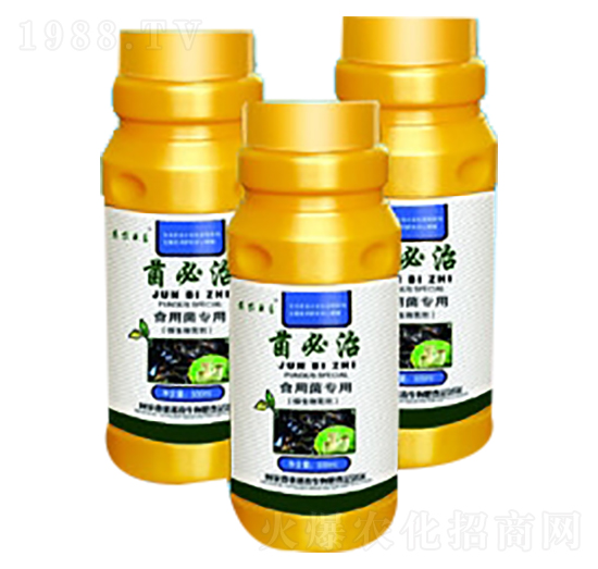 ʳ�þ���(zhu��n)��-������-���_(t��i)