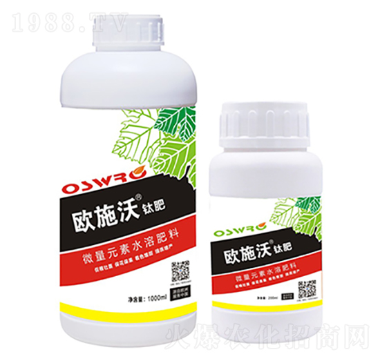 �Wʩ��⁷�-Ǫ������