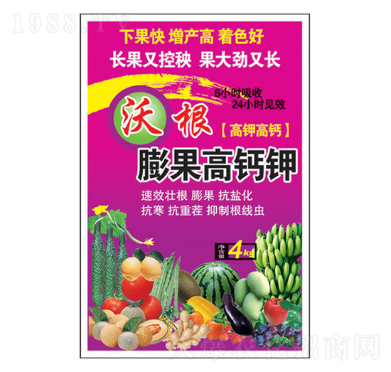 �ָ�������}�-�����_(d��)