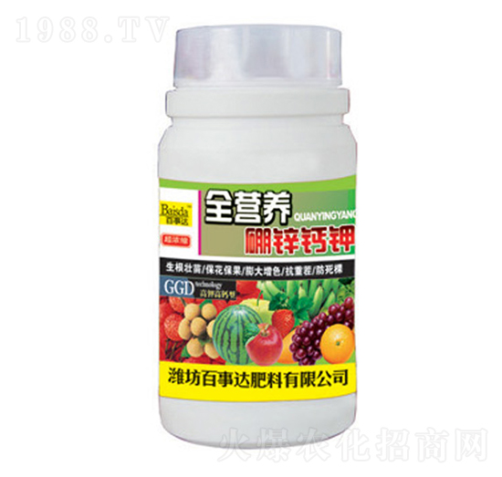 ȫ�I(y��ng)�B(y��ng)���\�}�-�����_(d��)