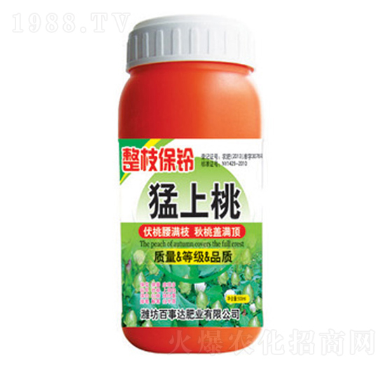 ��֦���������-�����_(d��)