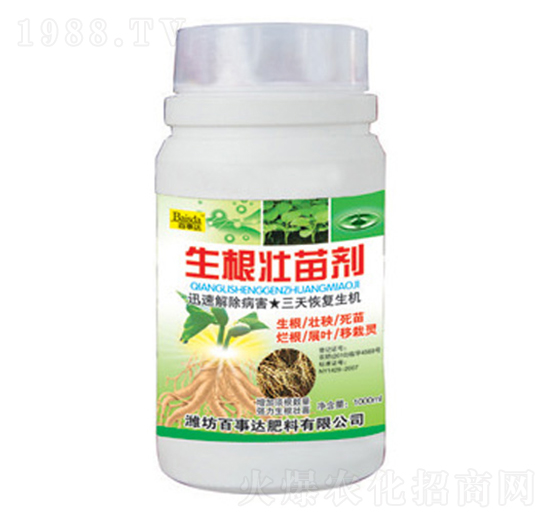 �������焩-�����_(d��)