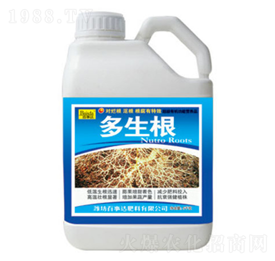 ������-�����_