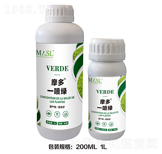 Ħ��һ���G-������