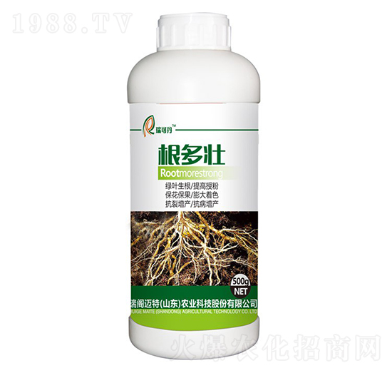 根多壯-瑞可丹-瑞閣邁特