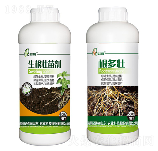 �������焩-���w�~��