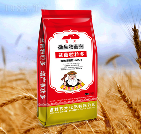 ΢�������-���������-����