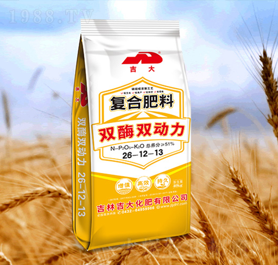 �pø�p������(f��)�Ϸ���26-12-13-����