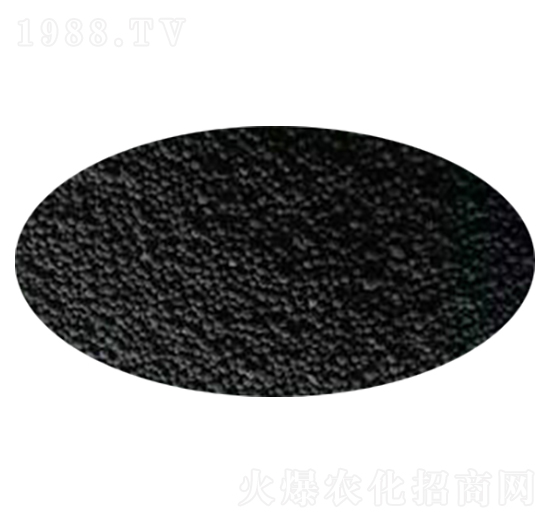 ����-ʢ���Ƴ�