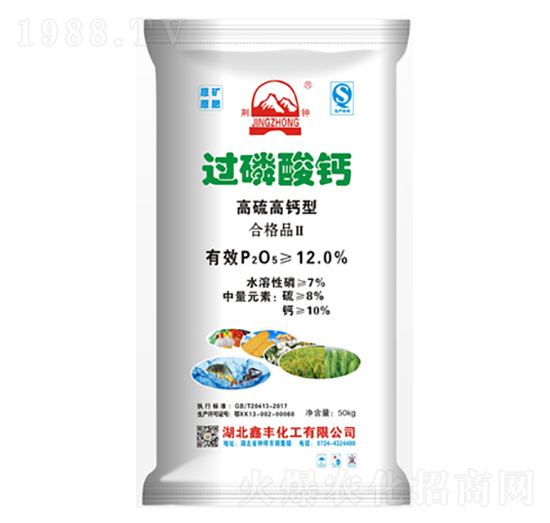 50kg������}���^�����}-���S����