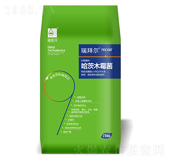 ����ľù��-������