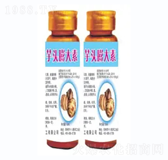 ���^�����-�h�滯��