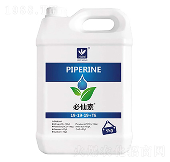 �Zؐ����������19-19-19+TE-��(l��)����