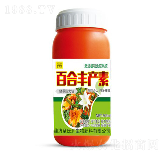 �ٺ��S�a��-ʥ�ϝ�