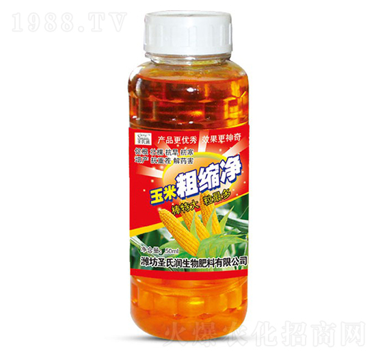 ���״ֿs��-ʥ�ϝ�