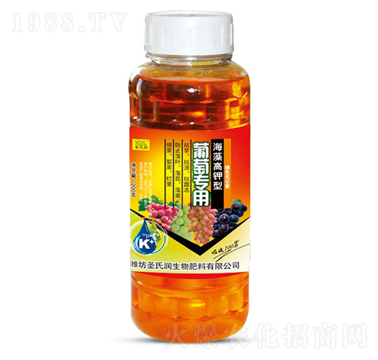 ���ь��ú�������-ʥ�ϝ�