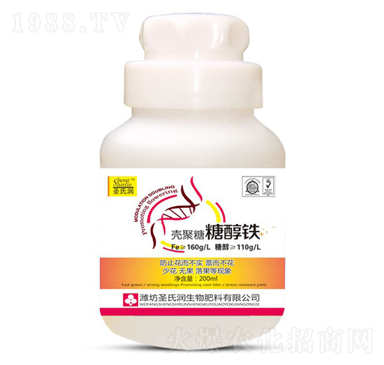 �Ǵ��F-ʥ�ϝ�