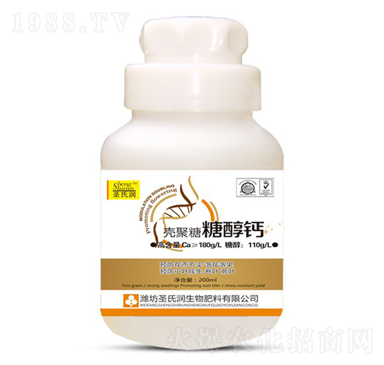 �Ǵ��}-ʥ�ϝ�