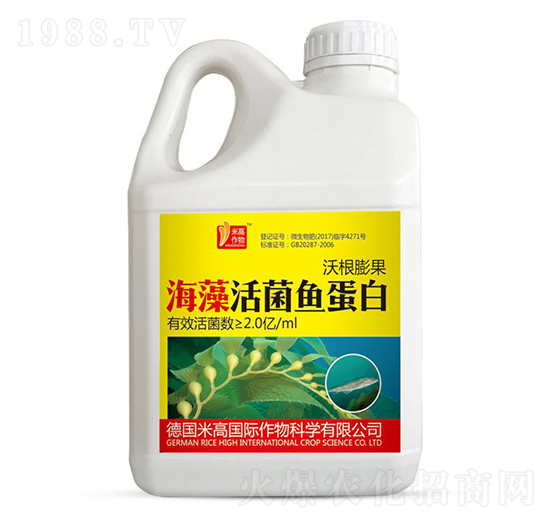 �ָ��������~����-ʥ�ϝ�